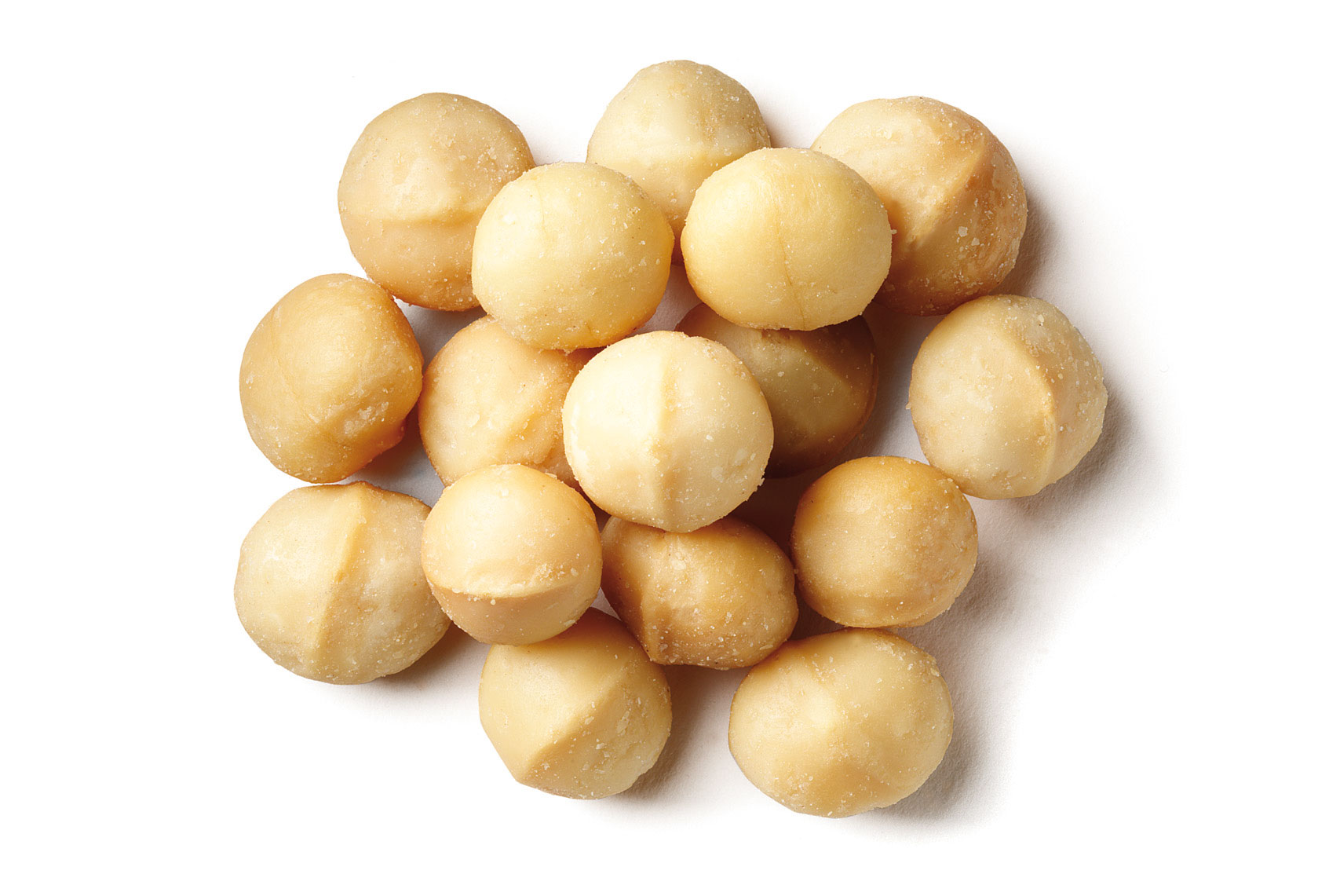 Macadamia Oil Moksha Lifestyle Products